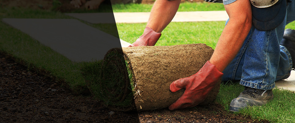 Columbus Landscapers